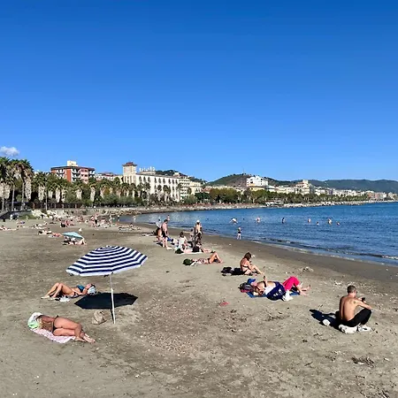 Novus * Salerno