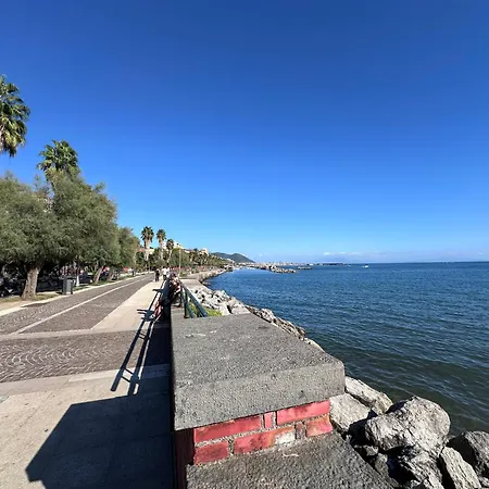 Novus * Salerno